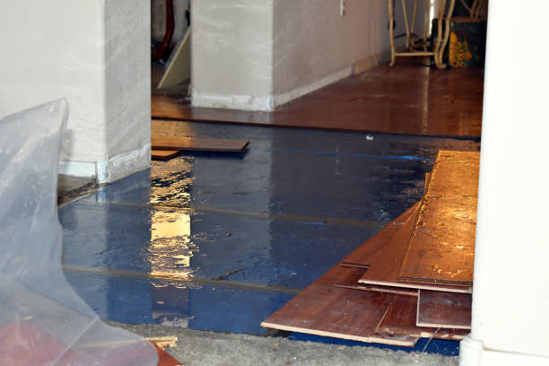 Professional Sewage Cleanup technician working in Kingsley, MI