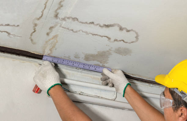 Reliable Sewage Cleanup contractor in Kingsley, MI by Water Damage Irwin
